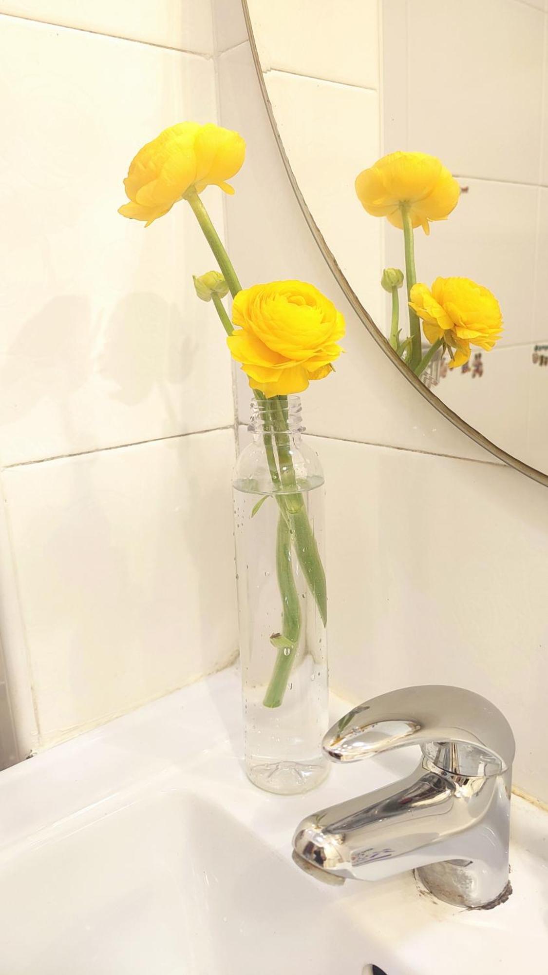 שנגחאי Lily'S Home מראה חיצוני תמונה